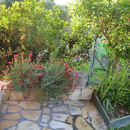 Theofilos Country House * Kompítsion
